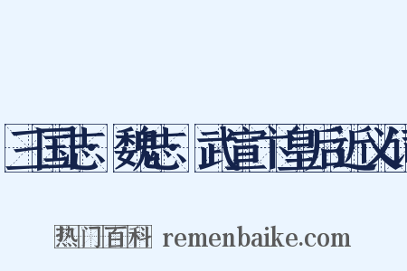 三国志·魏志·武宣卞皇后近义词是什么意思的图片